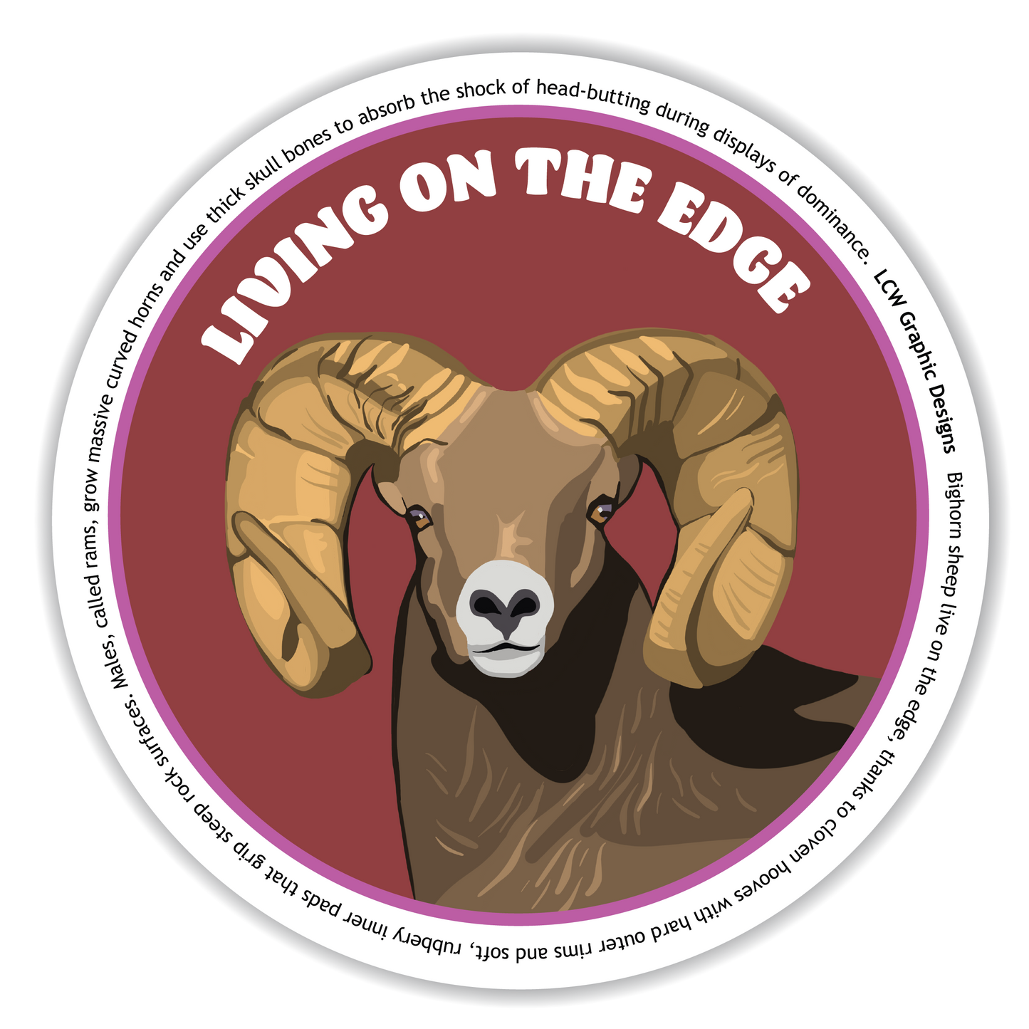 Big Horn Sheep