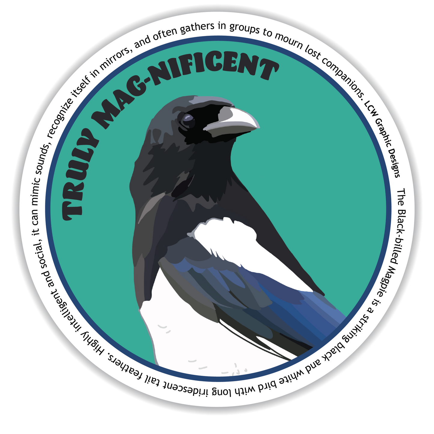 Black Billed Magpie Sticker