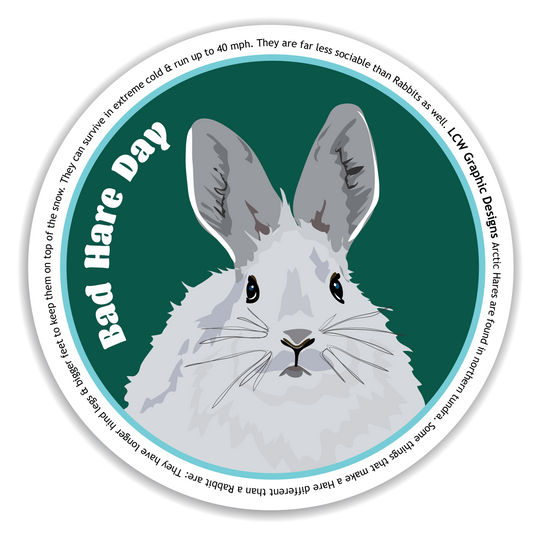 Arctic Hare Sticker