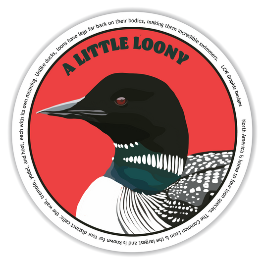 Common Loon Sticker