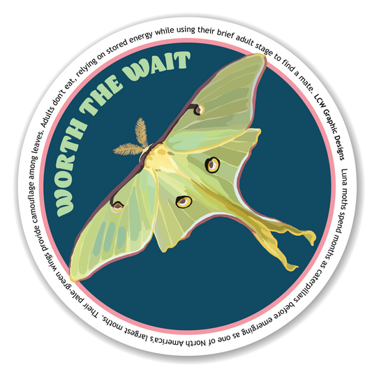 Luna Moth Sticker