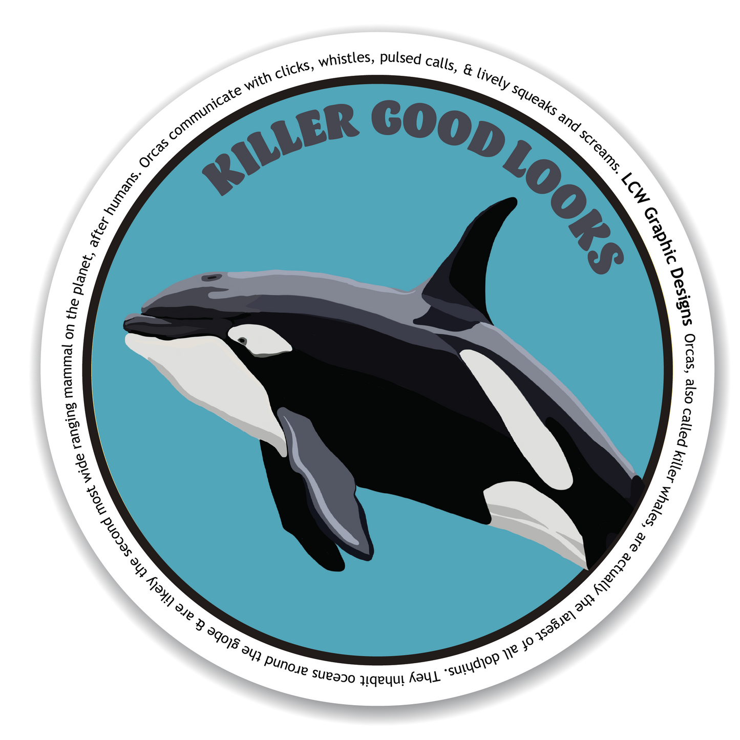 Orca Sticker