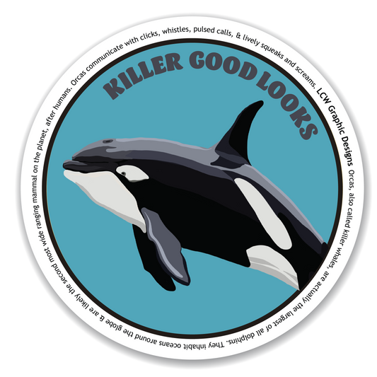 Orca Sticker