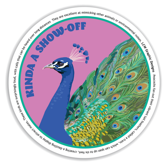 Peacock Sticker