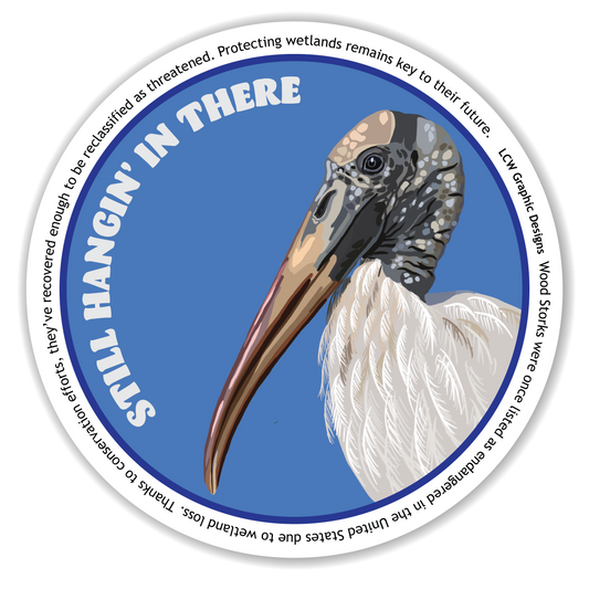 Wood Stork