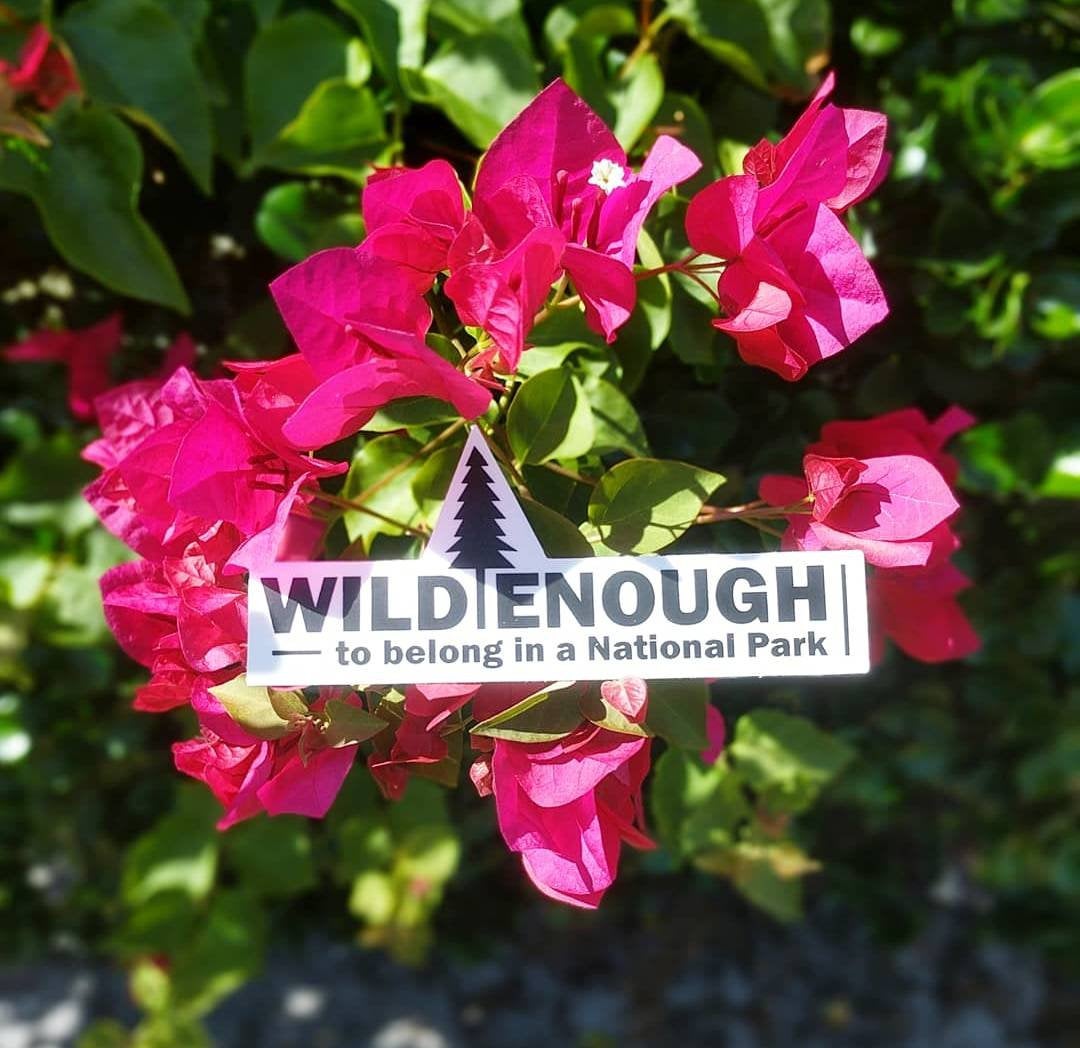 National Park Sticker - Wild Enough to Belong in a National Park Vinyl Sticker