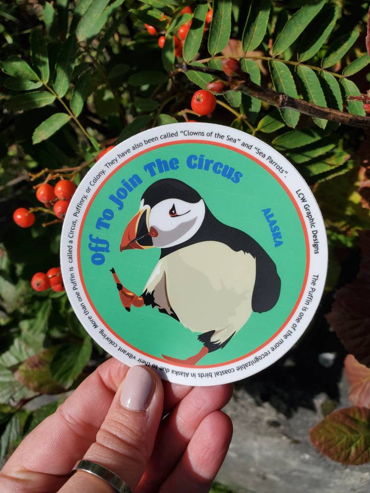 Graphic Bird Sticker - Horned Puffin - A Circus of Puffins - Educational Graphic Vinyl Art Alaskan Puffin Sticker